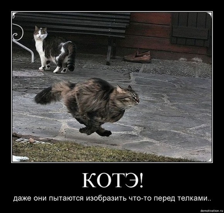 Покажите что-нибудь веселенькое?
