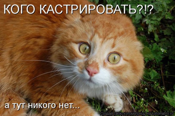 Покажите что-нибудь веселенькое?