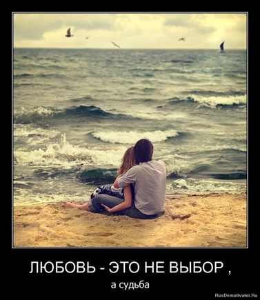 покажите демотиватор об отношениях,который заставит задуматься?