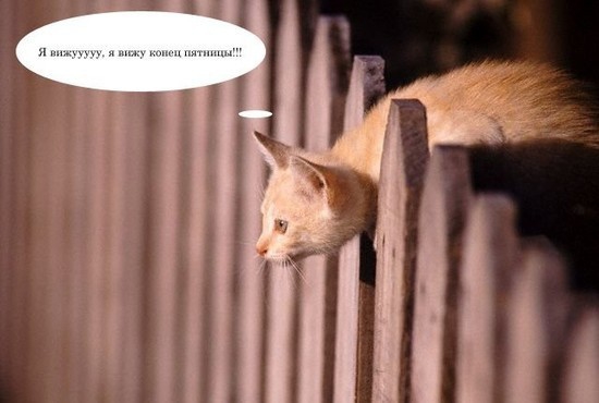 покажи себя за работой?