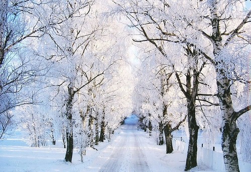 Покажите зиму , которую вы хотите видеть за окном?