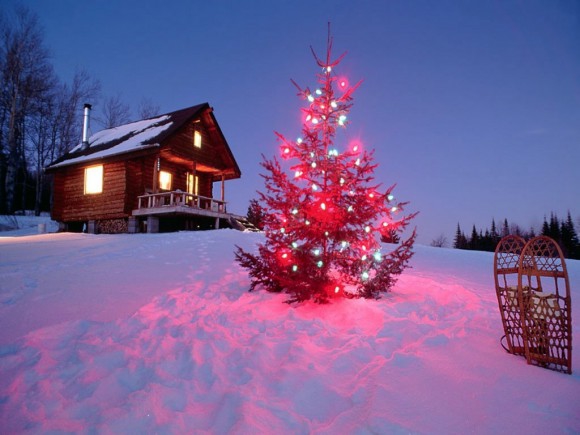 Покажите пожалуйста новогодние или зимние картинки, теплые такие, которые создают новогоднее  настроение  (?)