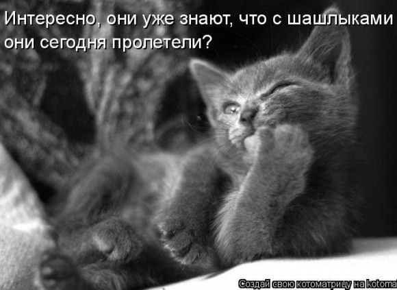 Покажите мне прикольного Котёнка?
