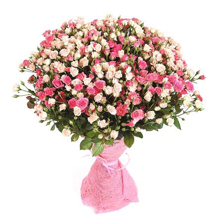 Девушки, какие цветы вы предпочитаете, чтобы вам дарили?