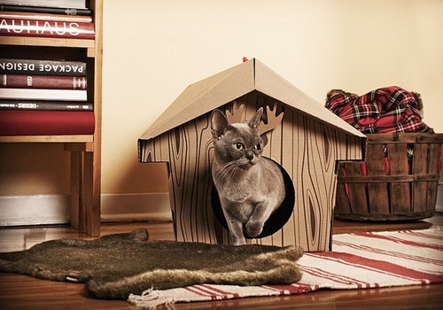 Покажите красивые домики для котиков.