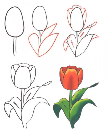 как можно легко и быстро нарисовать карандашом цветы?