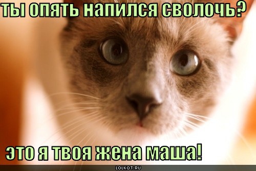 как выглядят прожигатели жизни?