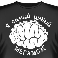 Майку с какой надписью можно подарить умному , приличному , красивому парню ?