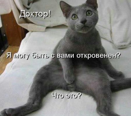 Что поднимает настроение ?