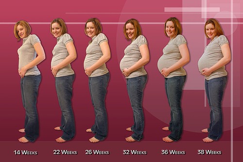 покажите мне фото живота беременной женщины с 1 месяца вплоть до 9 (1-9) ?