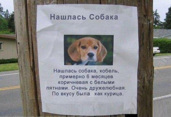 поднимаем настроение?