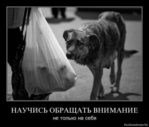 Можете показать такое необычное фото, которое затрагивает струны вашей души?