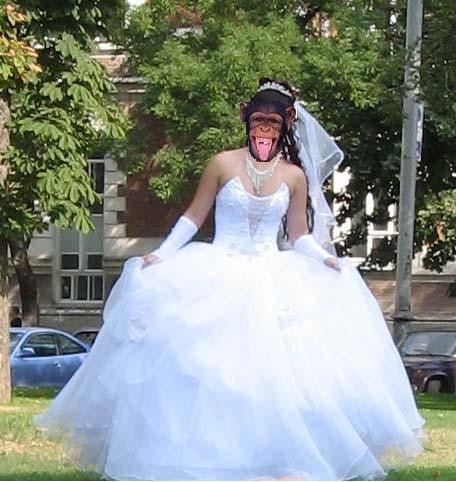 Девушки, какое свадебное платье хотели бы?