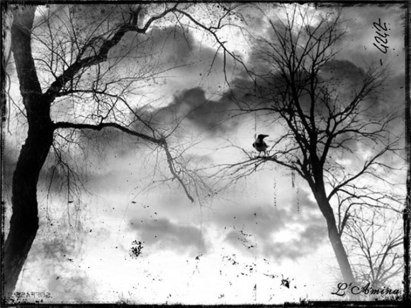 Как настроение?