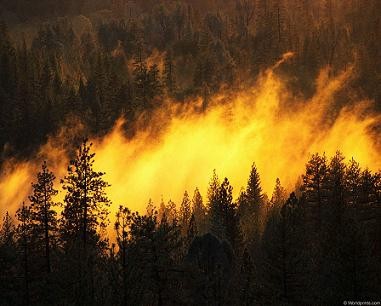 Покажете разбушевавшуюся стихию?