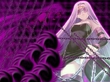 Rider FSN