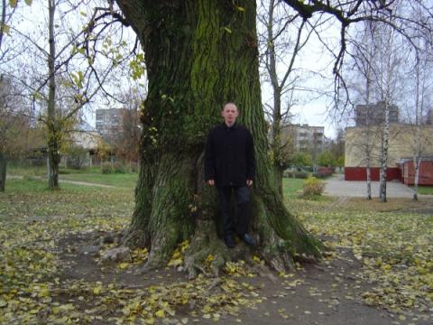 два тополя на Плющихе  :)