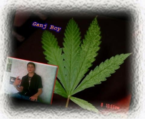 Rasta bez li6nih slov :)