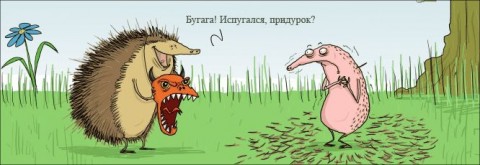 На тему Ёжиков