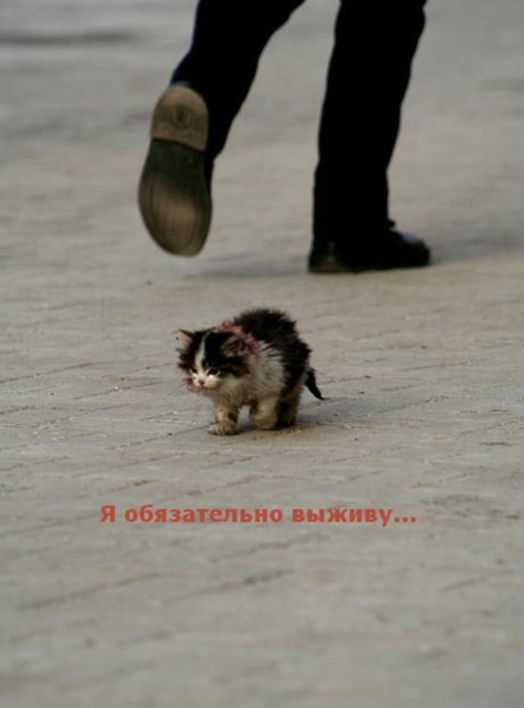 Бедняга! :(