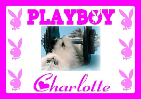 my playcat