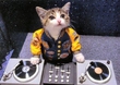 kitty dj =]