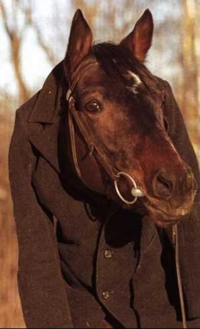 Конь в пальто ;))