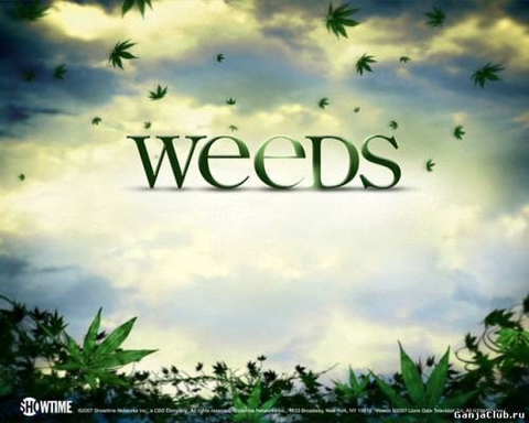 Weed
