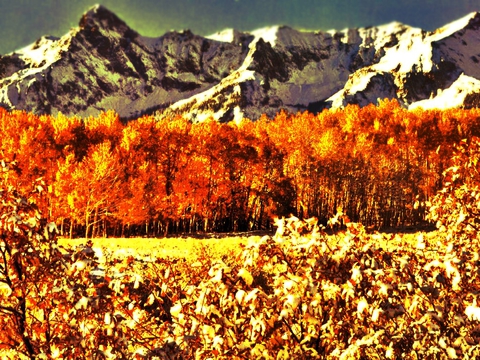Hdr nature