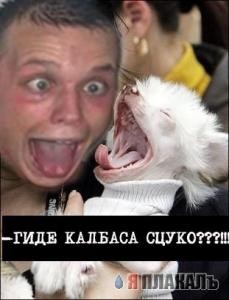 KolBasa