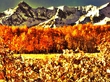 Hdr nature