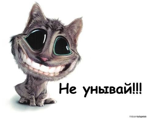 Don't Worry :)