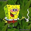 Sponge