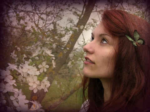 Morisons savaa teelaa.. :D