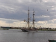 вчера сфоткала на своей речке) 