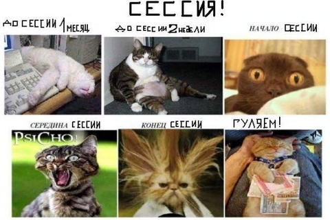 ona blizko o_O