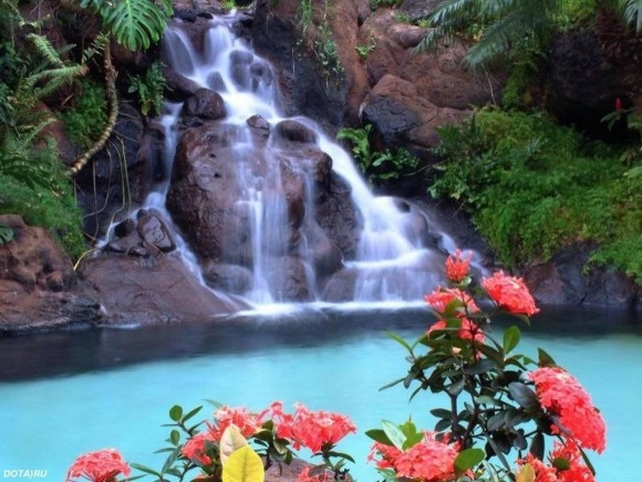 Мне нравитса Ниагара и Вента, а каким ты видишь свой любимый водопад?