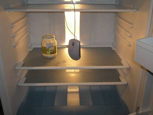 А что именно у тебя сейчас в холодильнике?