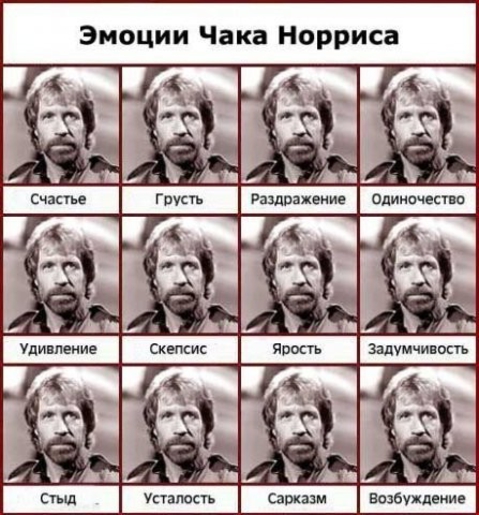 Эмоции Чака Норриса