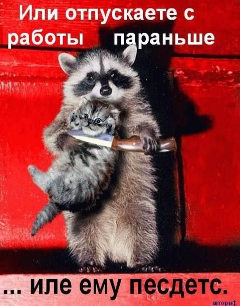 Пятница...