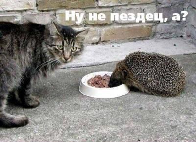 Ну пндец...