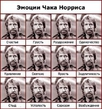 Эмоции Чака Норриса