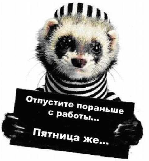 Отпустите...