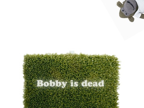 bobby is