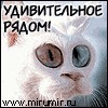 udiviteljnoe rjadom