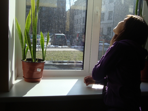 солнце
