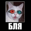 Новый вискас с грибами. Коты любят!!!