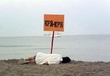Кря - кря ;[