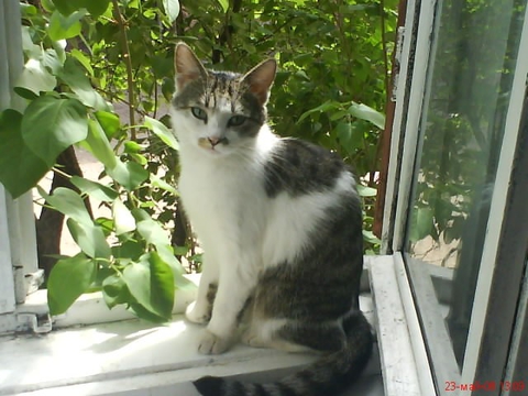 Sonija:))