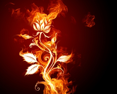 Flame